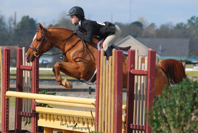 Pearson blackjack pony